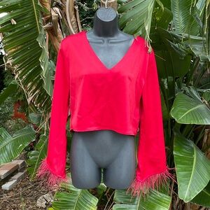 Wayf satin ostrich, feather, trim, bell sleeves cropped top